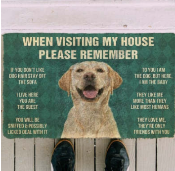 Rubber Carpet Floor Mat Door Mat Absorbent Non-slip