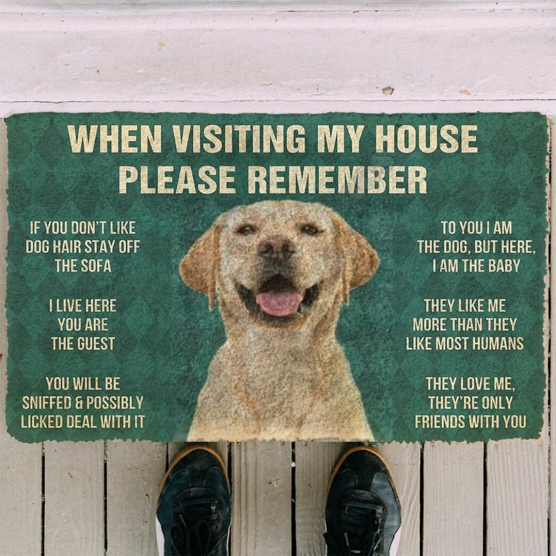 Rubber Carpet Floor Mat Door Mat Absorbent Non-slip