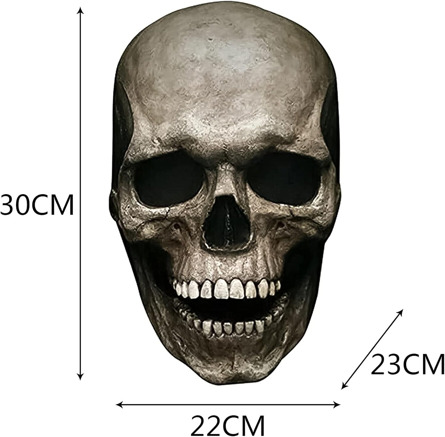 image6