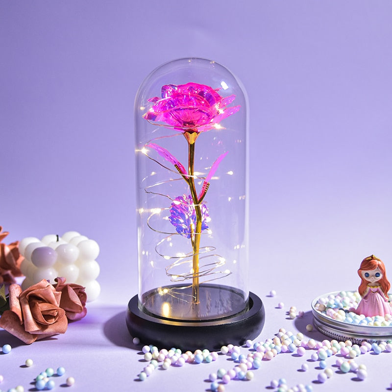 Gifts for Women Beauty and The Beast Preserved Roses In Glass Galaxy Rose LED Light Artificial Flower Birthday Gift for Girls