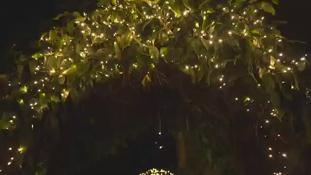 1pc Solar String Lights Outdoor 300 LEDs ExtraBright Solar Christmas Lights Outdoor Waterproof Green Wire 8 Lighting Modes Solar Xmas Tree Lights 105ft Warm WhiteWhiteMulticolour