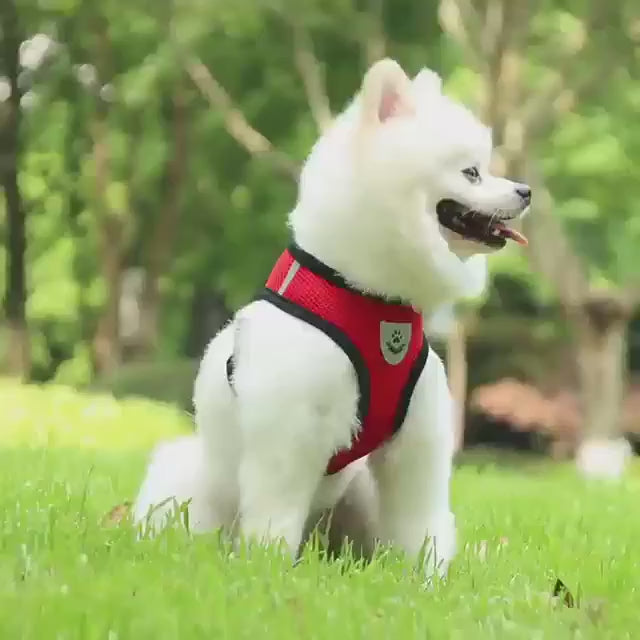 The Ultimate Comfort  Safety Harness  Leash Set For Your Dog  Cat  Reflective  Adjustable No Pull Harness With Soft Mesh
