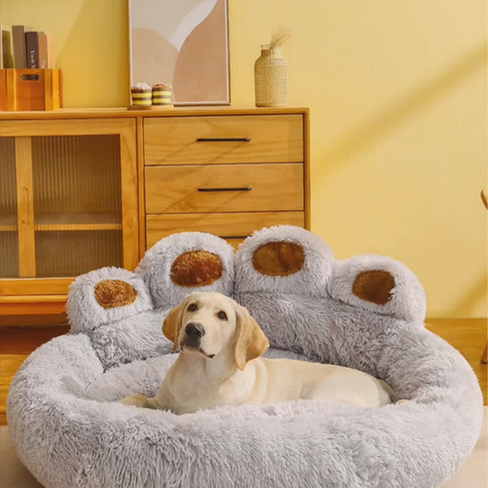 Cozy and Comfy Pet Dog Bed  All Seasons Paw Shape Warm Dog Bed Cushion for Your Furry Friend